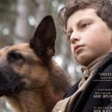 Shepherd: The Hero Dog (2020 movie)