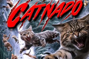 Catnado (2024 movie) Blair Kelly, trailer, release date