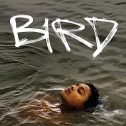 Bird (2024 movie) Barry Keoghan, trailer, release date